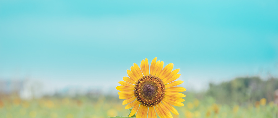 白內(nèi)障癥狀