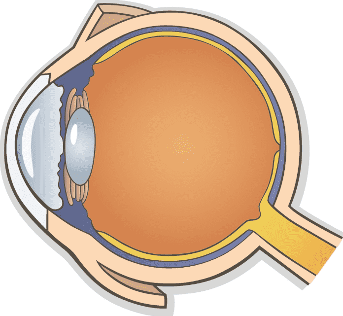 糖尿病視網膜病變